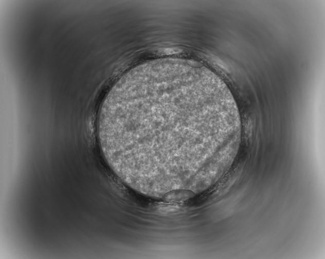 X0000096640373200802261303