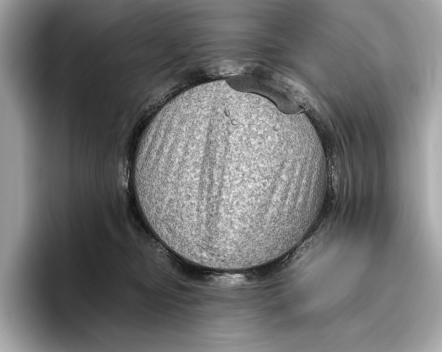 X0000096640374200802261303