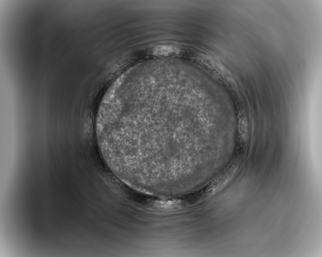 X0000096640375200802261303