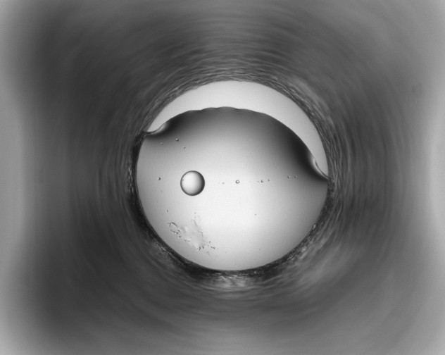 X0000096640376200802261303