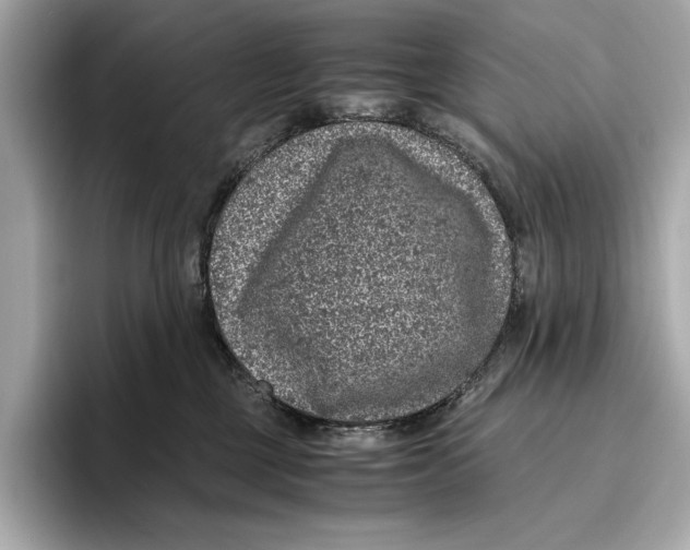 X0000096640377200802261303