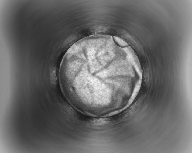 X0000096640378200802261303