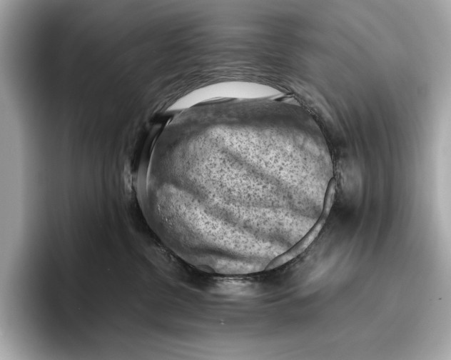 X0000096640380200802261303