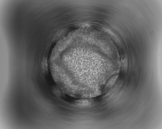 X0000096640381200802261303