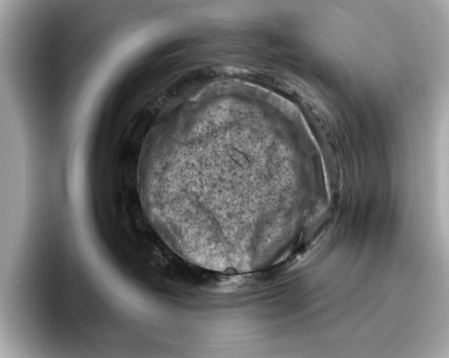 X0000096640382200802261303