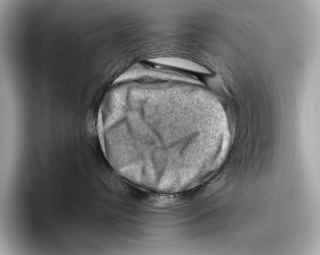 X0000096640384200802261303