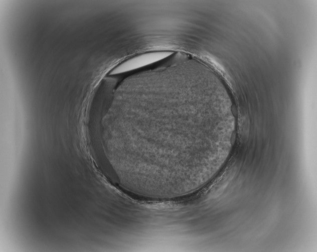 X0000096640385200802261303