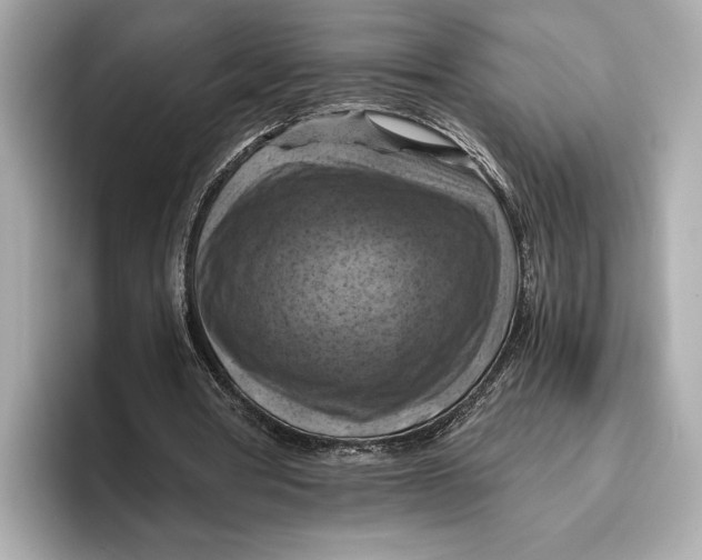 X0000096640386200802261303