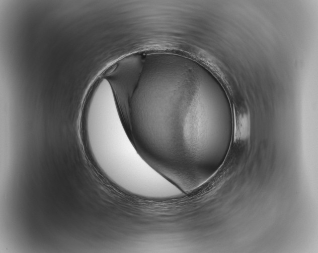 X0000096640387200802261303