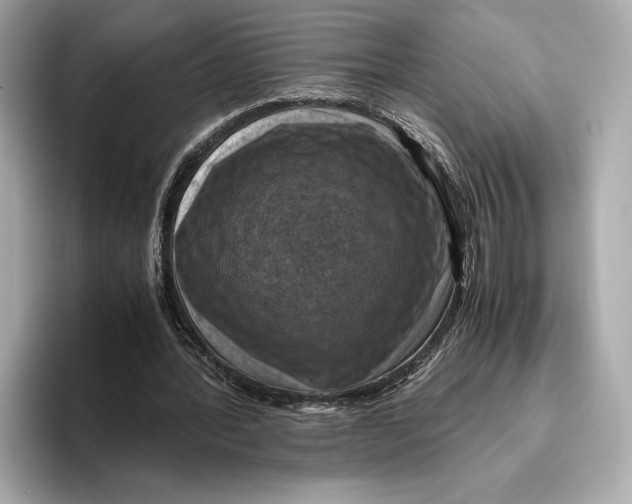 X0000096640388200802261303