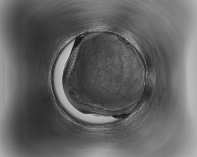 X0000096640389200802261303