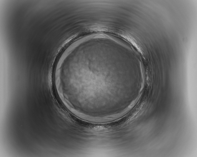 X0000096640390200802261303