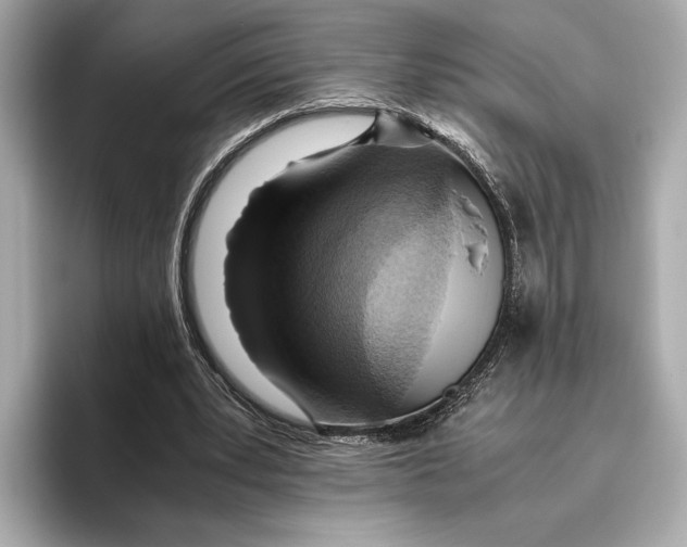 X0000096640391200802261303