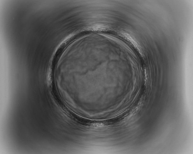 X0000096640392200802261303