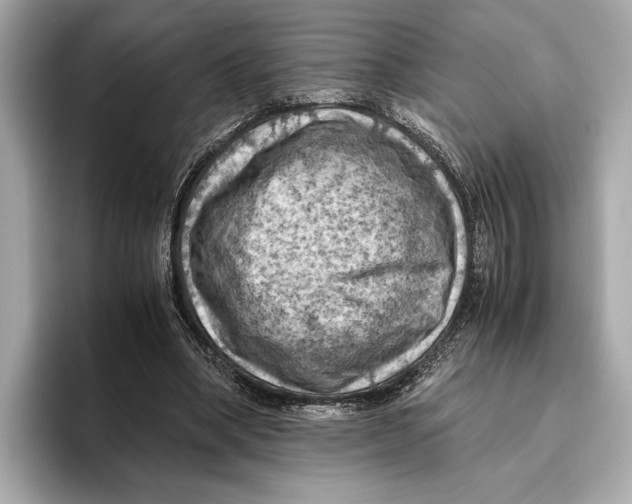 X0000096640394200802261303