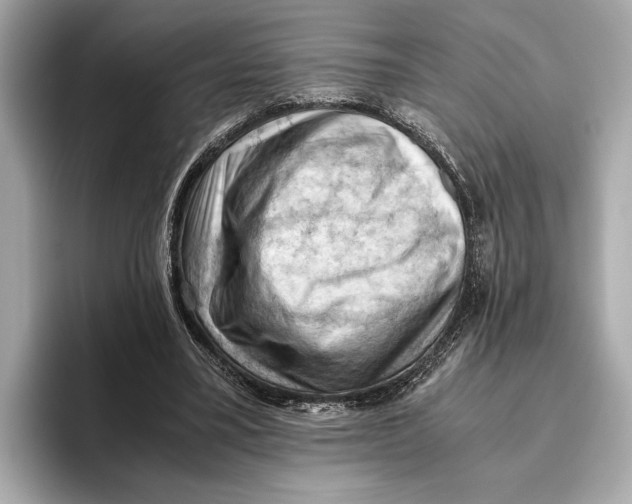 X0000096640395200802261303