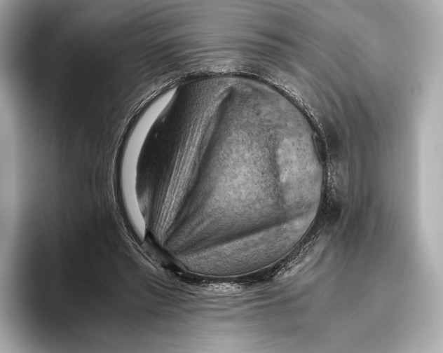 X0000096640397200802261303