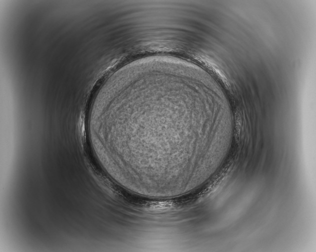 X0000096640398200802261303