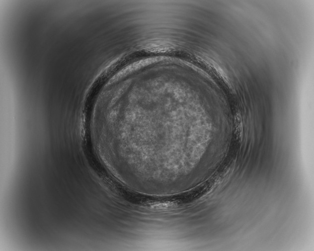 X0000096640400200802261302