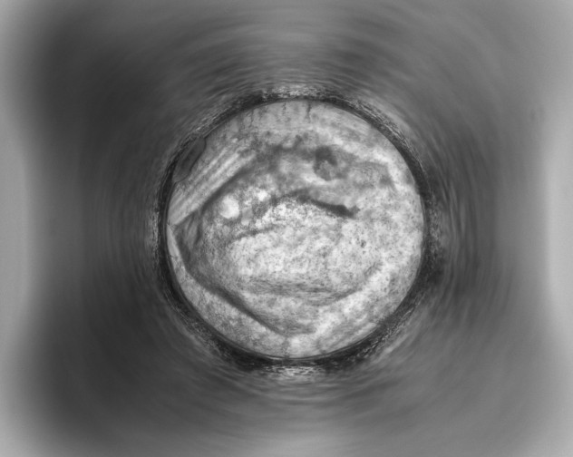 X0000096640401200802261302