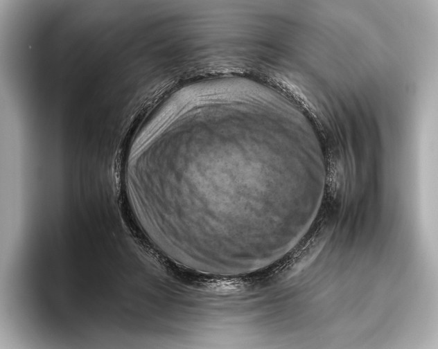 X0000096640402200802261302