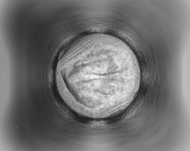 X0000096640403200802261302