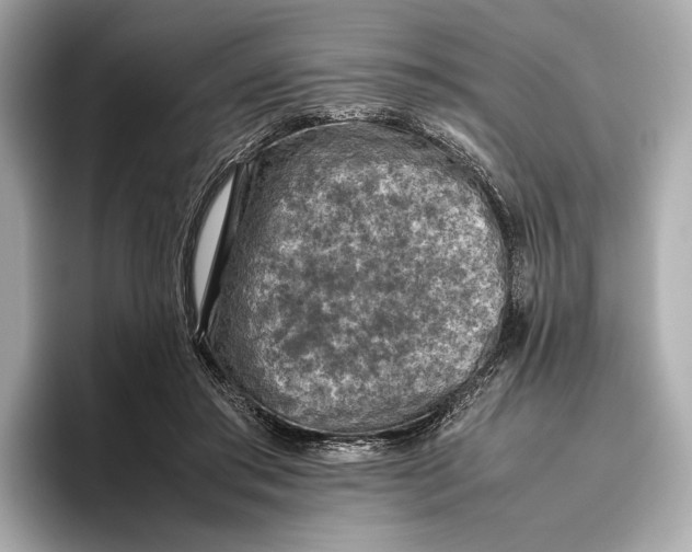 X0000096640405200802261302