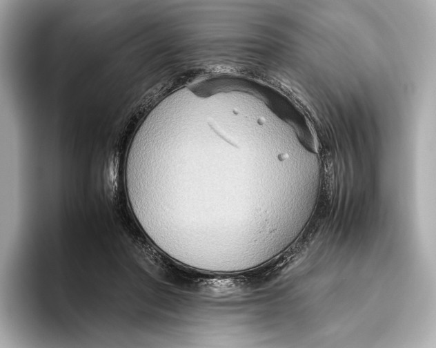 X0000096640406200802261302