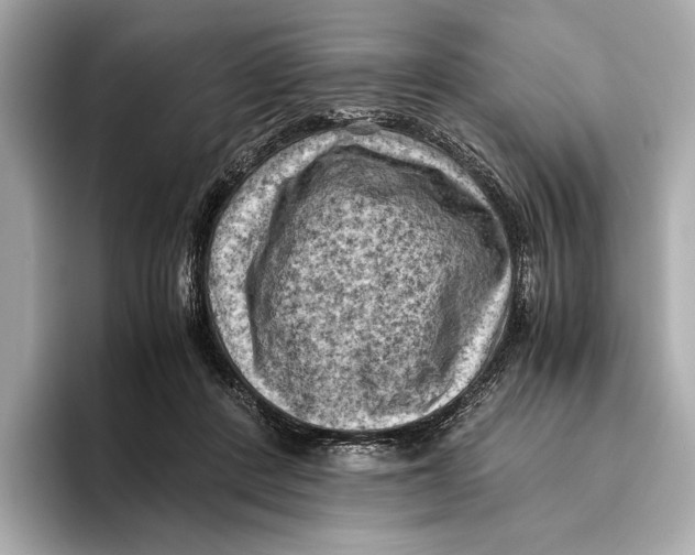 X0000096640408200802261302