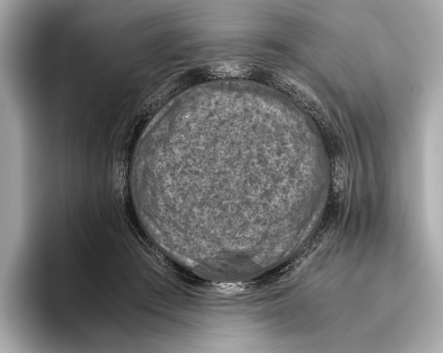 X0000096640409200802261302