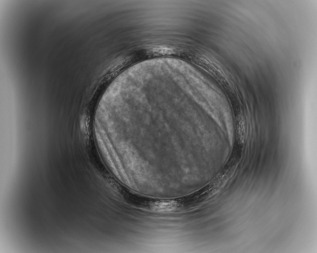 X0000096640410200802261302