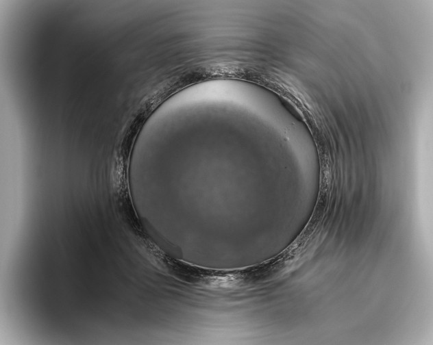 X0000096640411200802261302