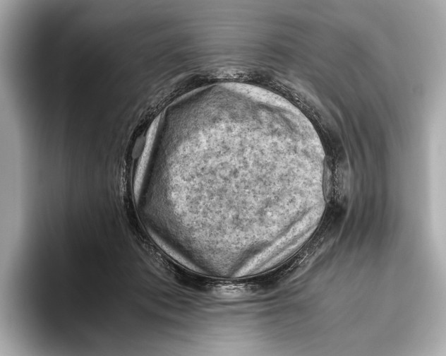 X0000096640413200802261302