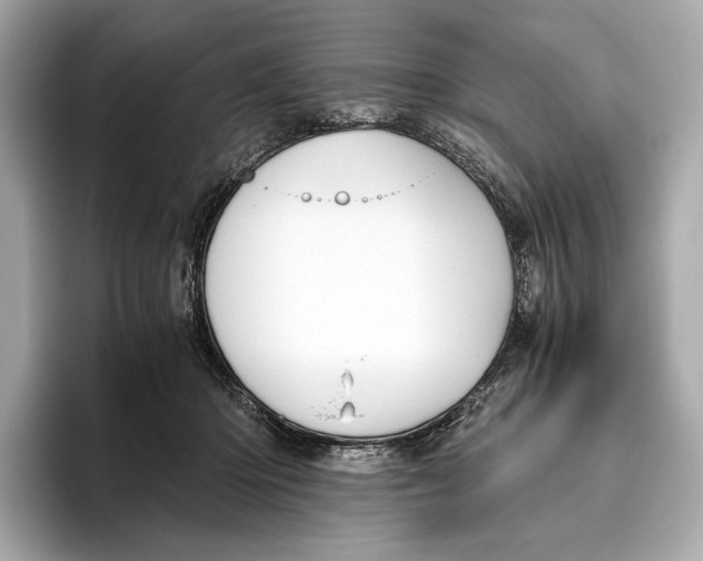 X0000096640414200802261302