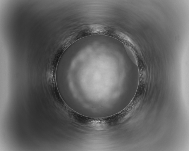 X0000096640415200802261302