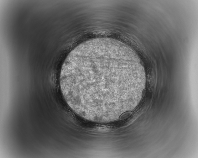 X0000096640416200802261302