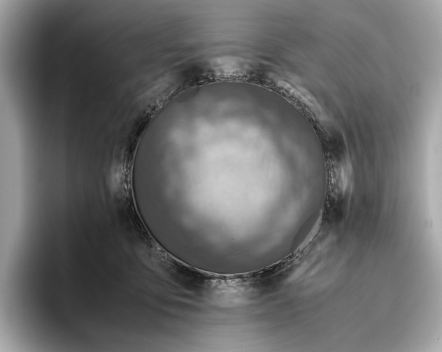 X0000096640419200802261302