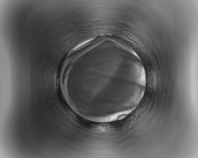 X0000096640420200802261302