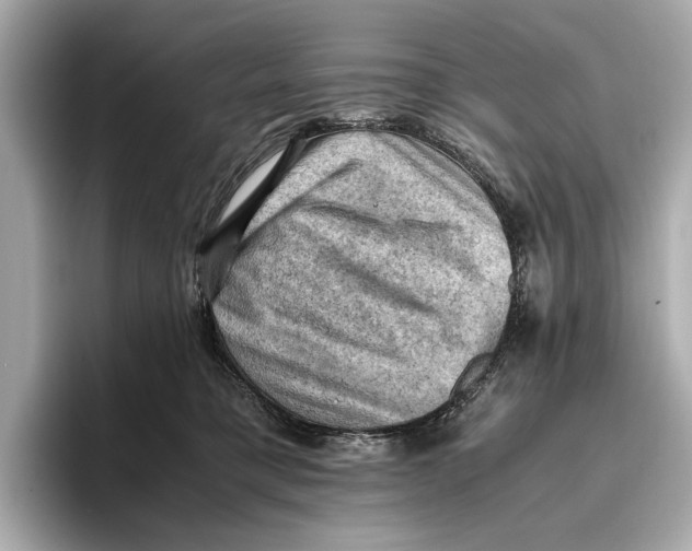 X0000096640421200802261302