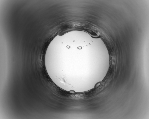 X0000096640422200802261302