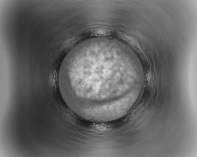 X0000096640423200802261302