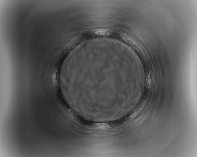 X0000096640424200802261302