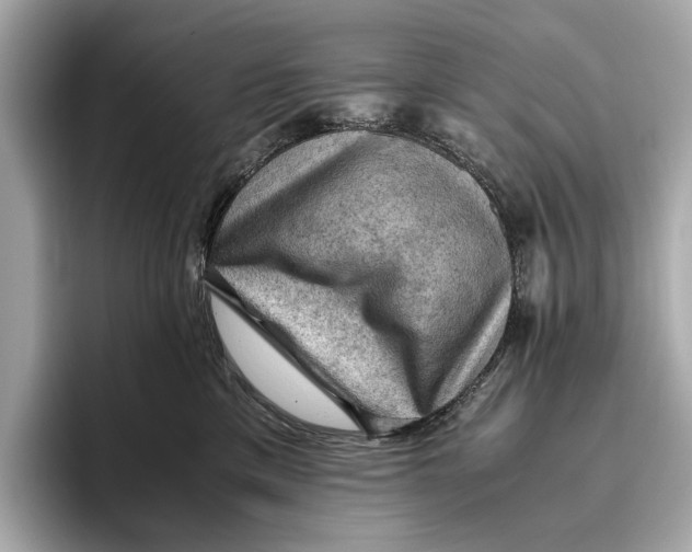 X0000096640425200802261302