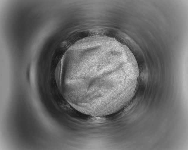 X0000096640429200802261302