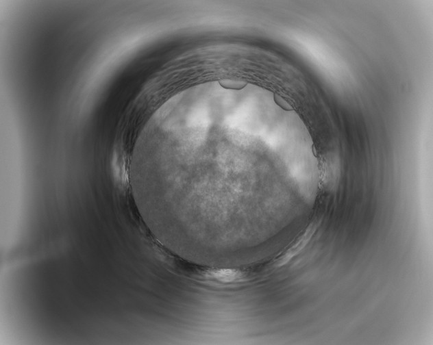 X0000096640431200802261302