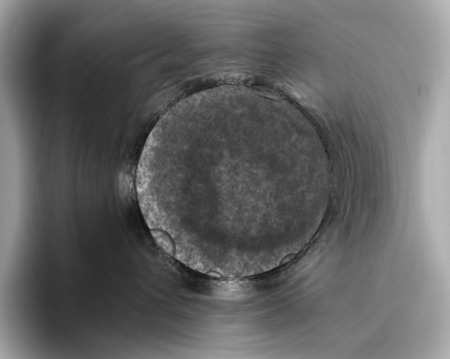 X0000096640432200802261302