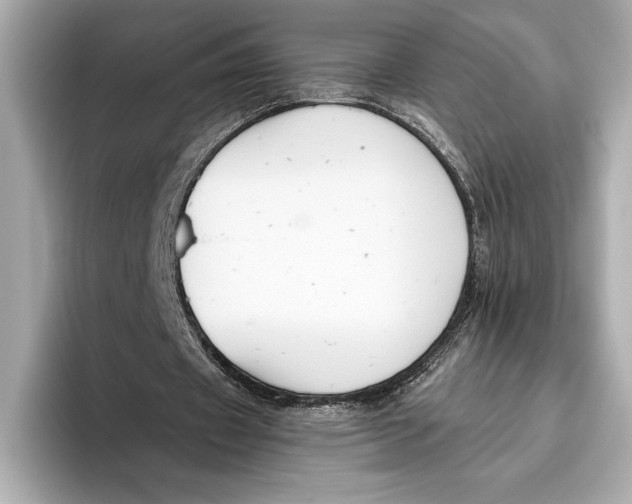 X0000096640433200802261301