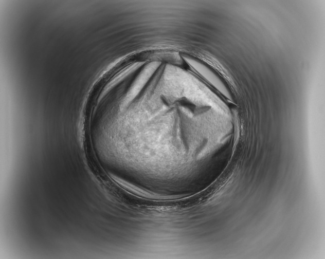 X0000096640436200802261301