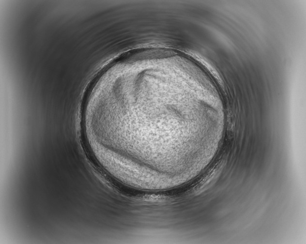 X0000096640437200802261301