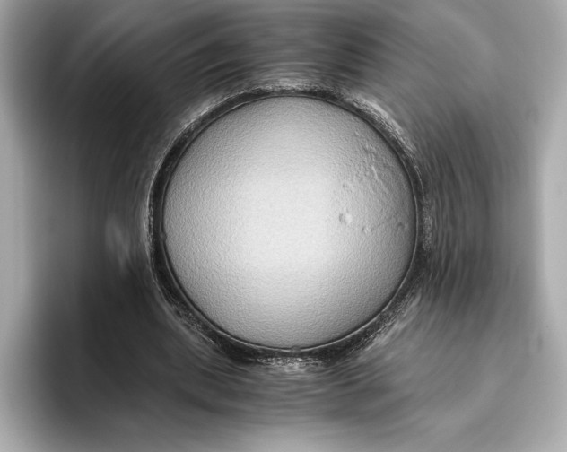 X0000096640439200802261301